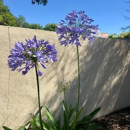 Le Rendez Vous Des Dom wakacyjny *