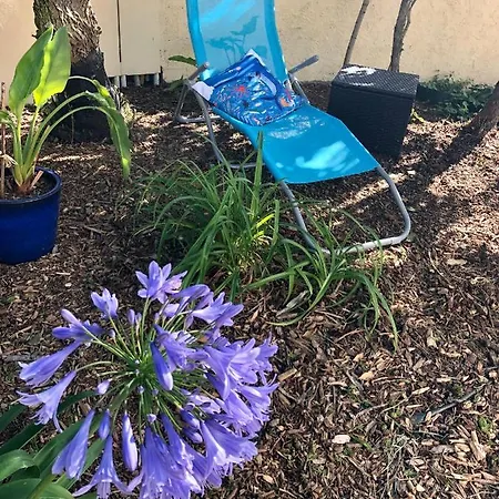 Le Rendez Vous Des *