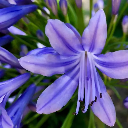 Le Rendez Vous Des Dom wakacyjny Fouras