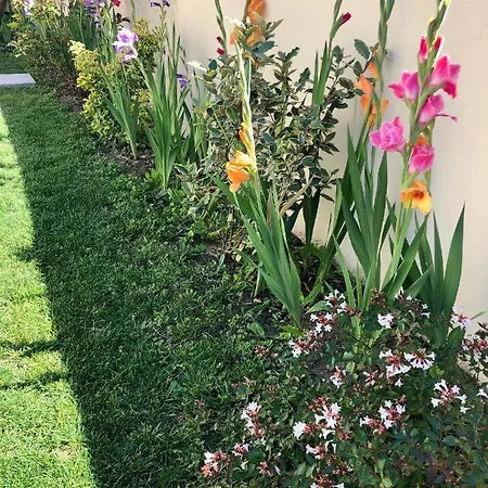 Dom wakacyjny Le Rendez Vous Des *