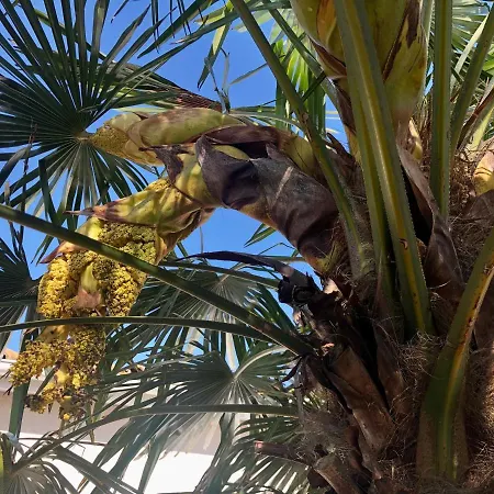 Le Rendez Vous Des Hébergement de vacances *